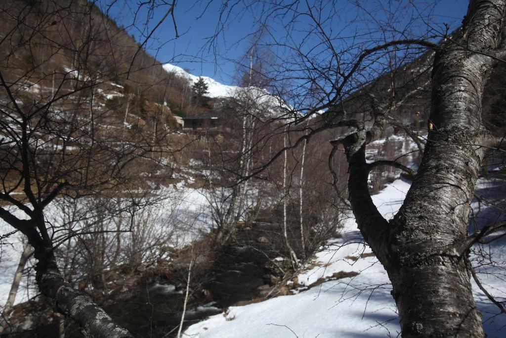 Apartaments Turistics Prat De Les Mines Ordino Esterno foto